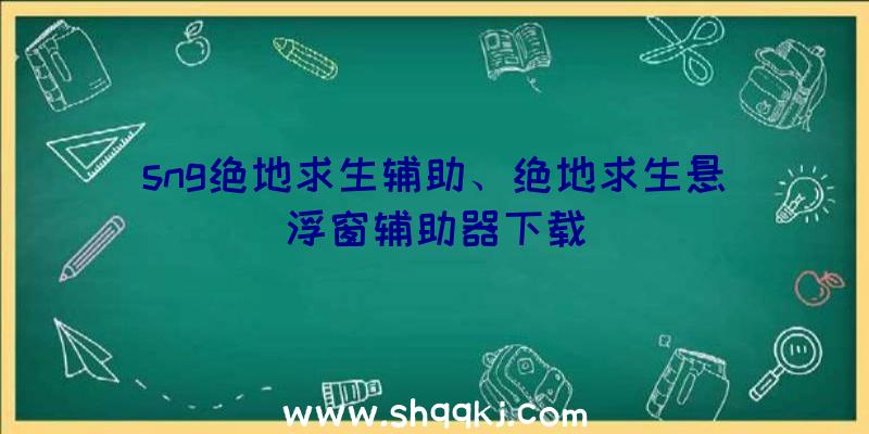 sng绝地求生辅助、绝地求生悬浮窗辅助器下载