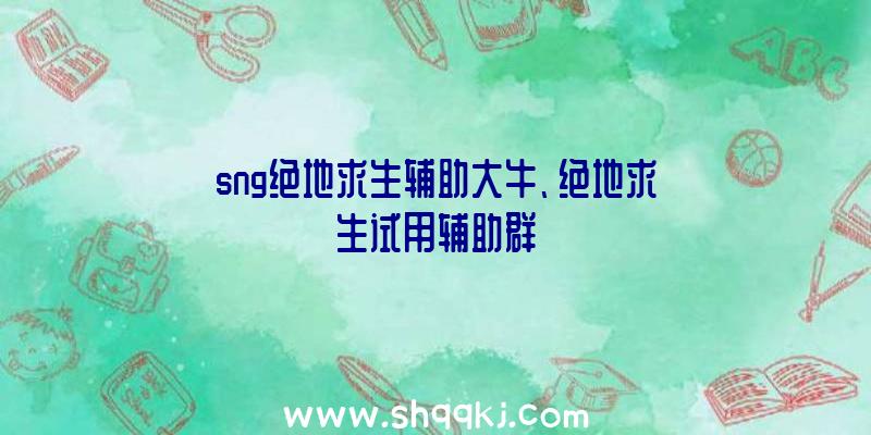 sng绝地求生辅助大牛、绝地求生试用辅助群