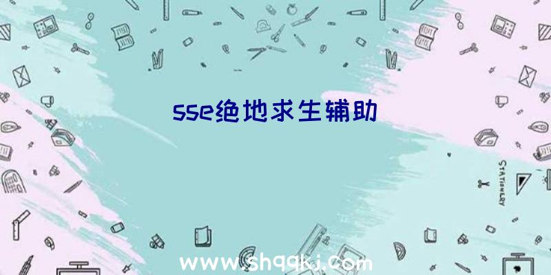 sse绝地求生辅助