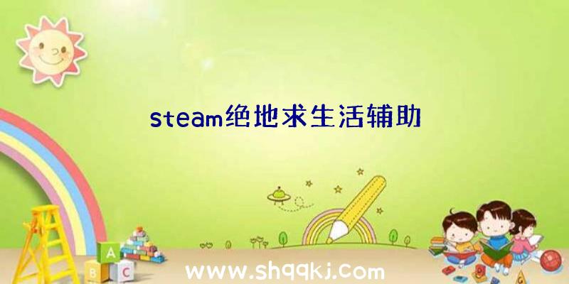 steam绝地求生活辅助