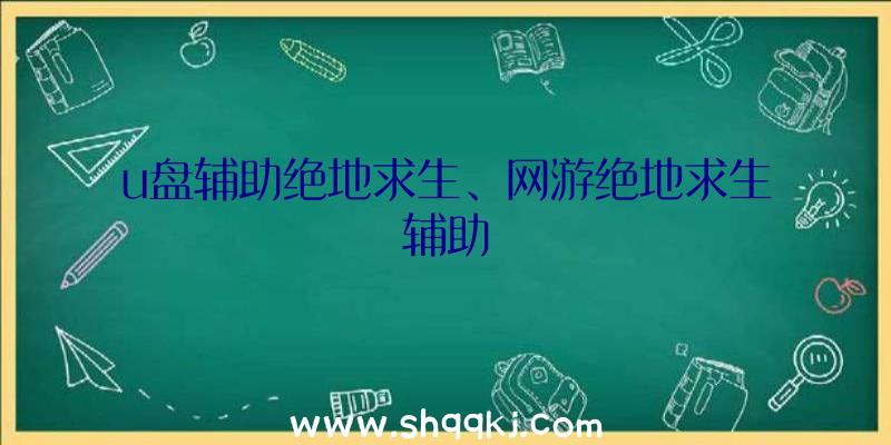 u盘辅助绝地求生、网游绝地求生辅助