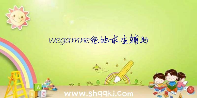 wegamne绝地求生辅助