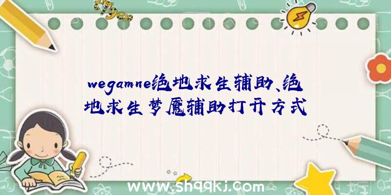 wegamne绝地求生辅助、绝地求生梦魇辅助打开方式