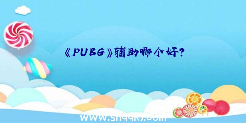 《PUBG》辅助哪个好？