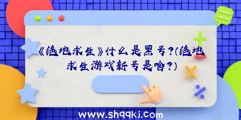 《绝地求生》什么是黑号？（绝地求生游戏新号是啥？）