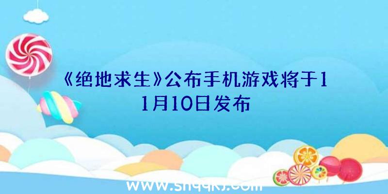 《绝地求生》公布手机游戏将于11月10日发布