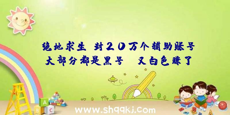 《绝地求生》封20万个辅助账号！大部分都是黑号！（又白色赚了将近2000万!还释放出二十万人的网络服务器压力!）