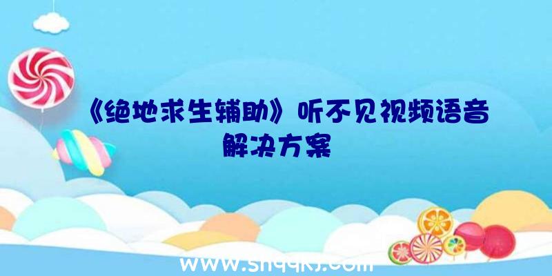 《绝地求生辅助》听不见视频语音解决方案