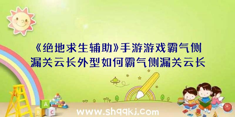 《绝地求生辅助》手游游戏霸气侧漏关云长外型如何霸气侧漏关云长外型获得方式