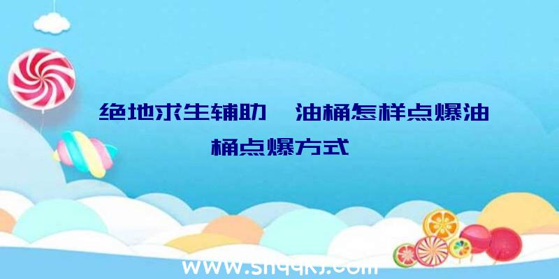 《绝地求生辅助》油桶怎样点爆油桶点爆方式