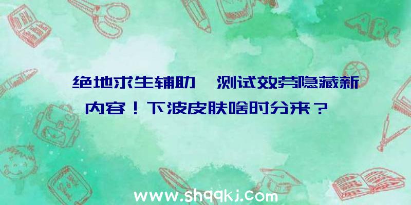 《绝地求生辅助》测试效劳隐藏新内容！下波皮肤啥时分来？