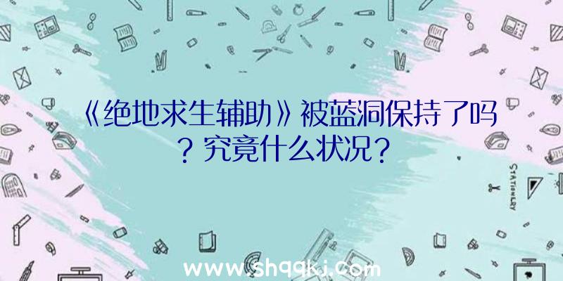 《绝地求生辅助》被蓝洞保持了吗？究竟什么状况？