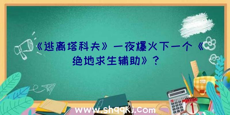 《逃离塔科夫》一夜爆火下一个《绝地求生辅助》？