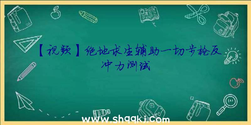 【视频】绝地求生辅助一切步枪反冲力测试