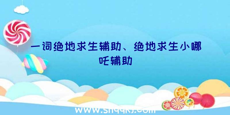 一词绝地求生辅助、绝地求生小哪吒辅助