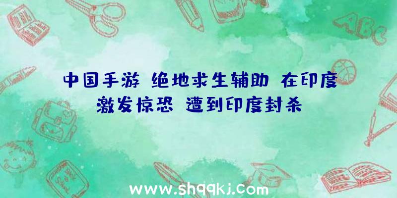 中国手游《绝地求生辅助》在印度激发惊恐？遭到印度封杀