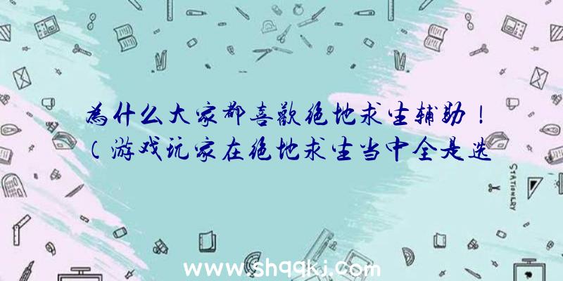 为什么大家都喜欢绝地求生辅助！（游戏玩家在绝地求生当中全是选择本站的平台下载）