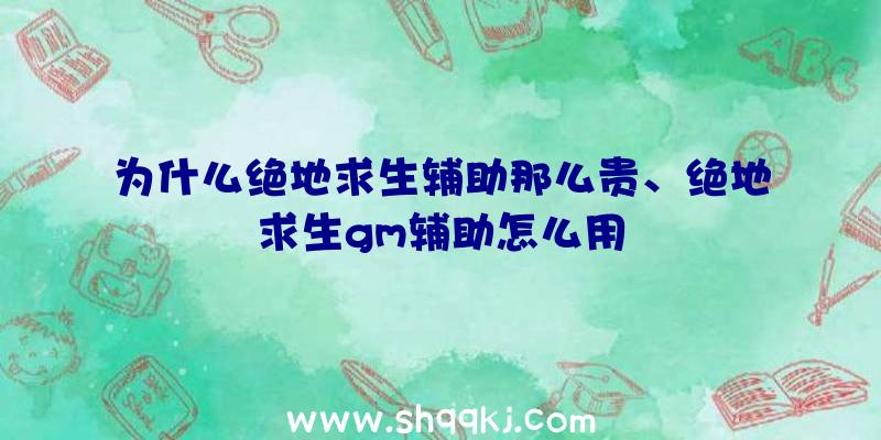 为什么绝地求生辅助那么贵、绝地求生gm辅助怎么用