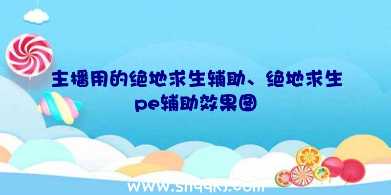 主播用的绝地求生辅助、绝地求生pe辅助效果图