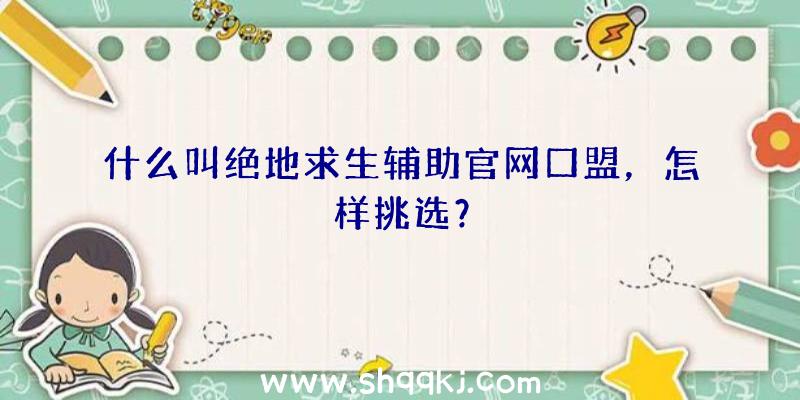 什么叫绝地求生辅助官网口盟，怎样挑选？