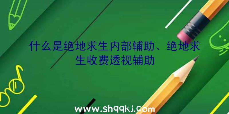 什么是绝地求生内部辅助、绝地求生收费透视辅助