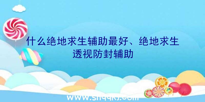 什么绝地求生辅助最好、绝地求生透视防封辅助