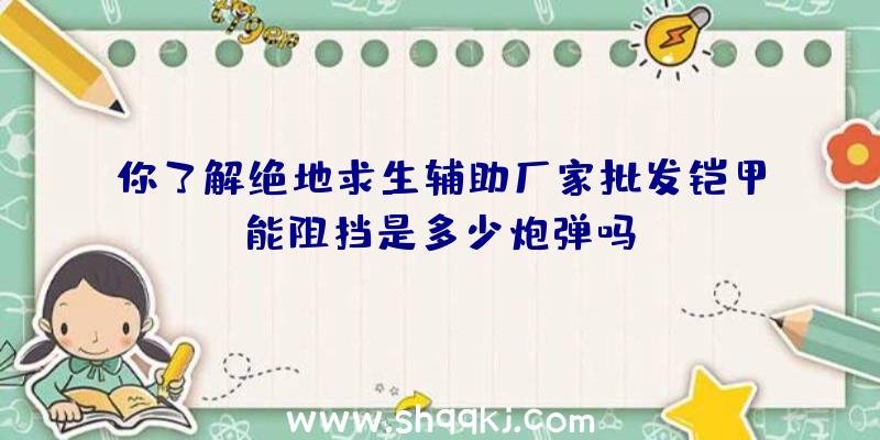 你了解绝地求生辅助厂家批发铠甲能阻挡是多少炮弹吗？