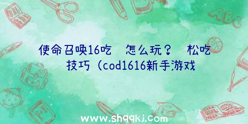 使命召唤16吃鸡怎么玩？轻松吃鸡技巧（cod1616新手游戏方法）