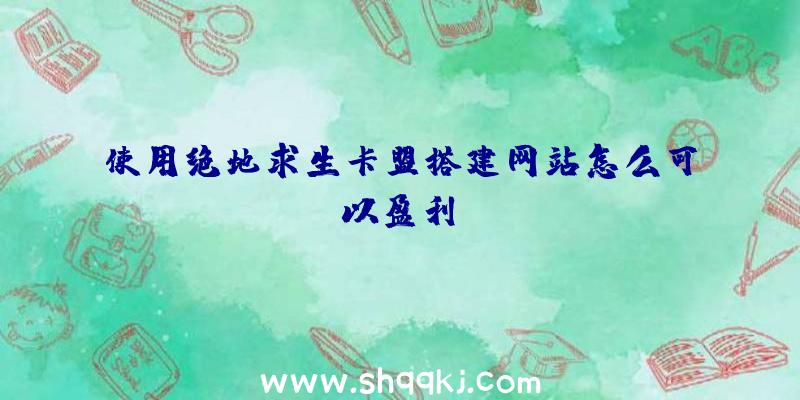 使用绝地求生卡盟搭建网站怎么可以盈利？