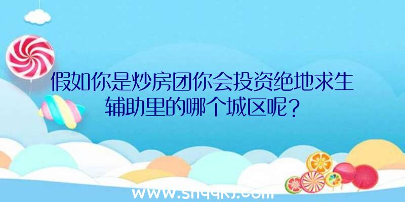 假如你是炒房团你会投资绝地求生辅助里的哪个城区呢？