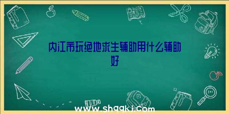 内江市玩绝地求生辅助用什么辅助好