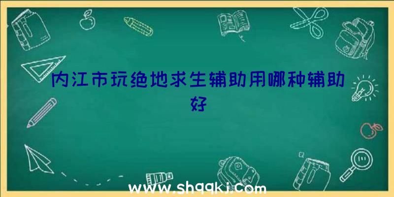 内江市玩绝地求生辅助用哪种辅助好