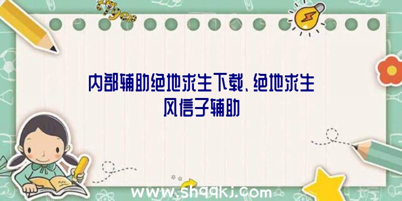 内部辅助绝地求生下载、绝地求生风信子辅助