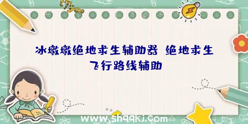 冰墩墩绝地求生辅助器、绝地求生飞行路线辅助