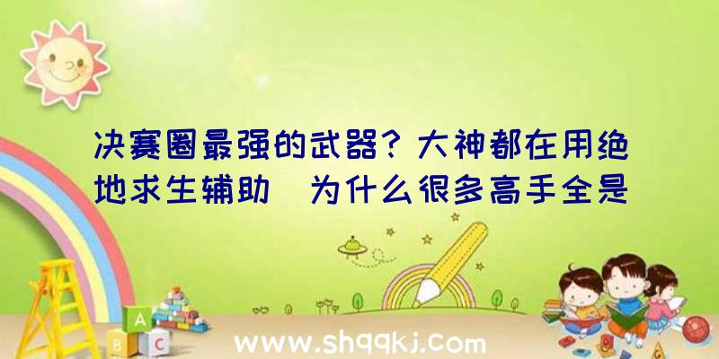 决赛圈最强的武器？大神都在用绝地求生辅助（为什么很多高手全是挑选用绝地求生辅助）