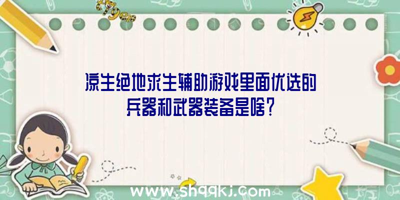 凉生绝地求生辅助游戏里面优选的兵器和武器装备是啥？