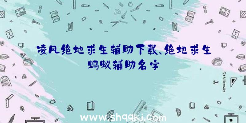 凌风绝地求生辅助下载、绝地求生蚂蚁辅助名字