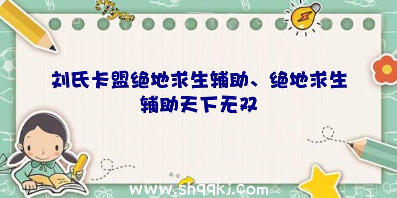 刘氏卡盟绝地求生辅助、绝地求生辅助天下无双