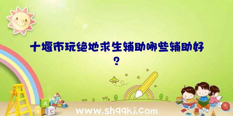 十堰市玩绝地求生辅助哪些辅助好？