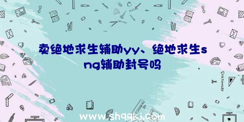 卖绝地求生辅助yy、绝地求生sng辅助封号吗