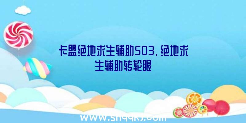 卡盟绝地求生辅助503、绝地求生辅助转轮眼