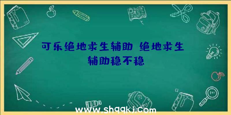 可乐绝地求生辅助、绝地求生DM辅助稳不稳