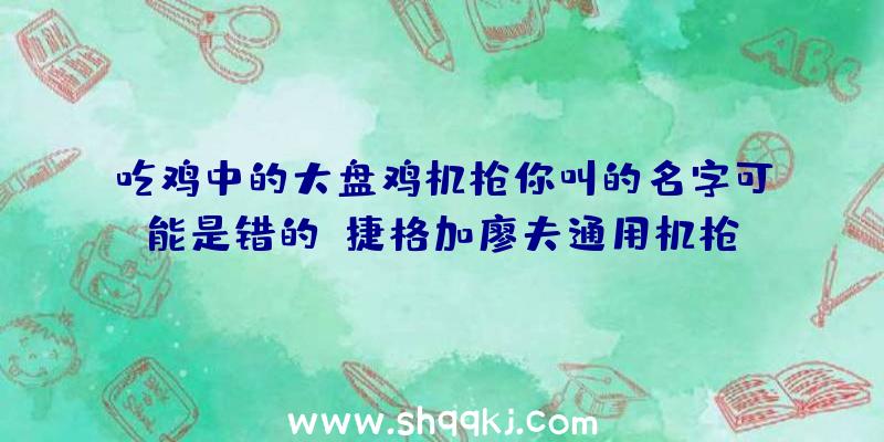 吃鸡中的大盘鸡机枪你叫的名字可能是错的（捷格加廖夫通用机枪,俄语名都不打了,打过绝大多数的读者也读搞）