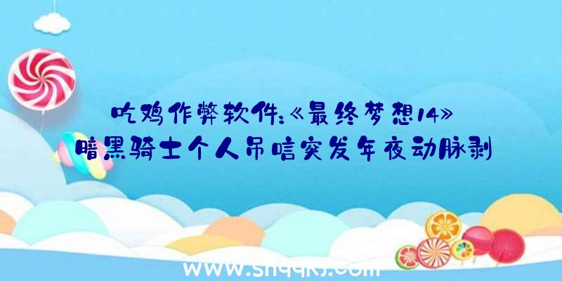 吃鸡作弊软件：《最终梦想14》暗黑骑士个人吊唁突发年夜动脉剥离离世的《剑风传奇》作者