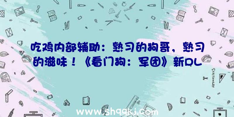 吃鸡内部辅助：熟习的狗哥，熟习的滋味！《看门狗：军团》新DLC幕后花絮