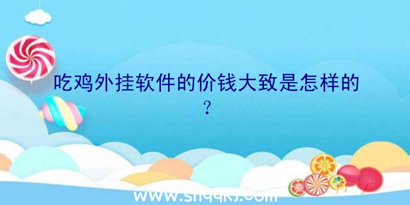 吃鸡外挂软件的价钱大致是怎样的？