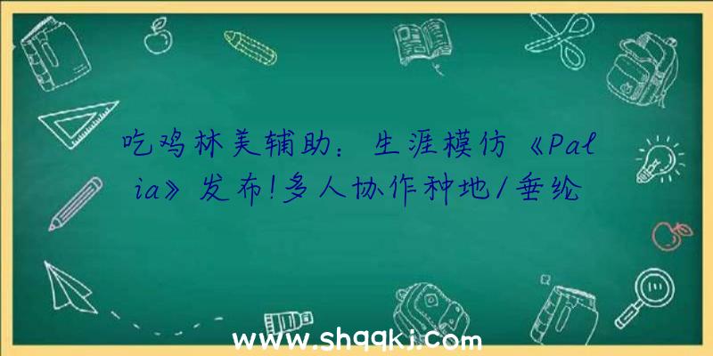 吃鸡林美辅助：生涯模仿《Palia》发布!多人协作种地/垂纶/建造异样会有各类嘉奖