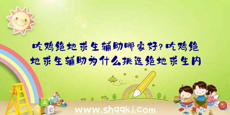 吃鸡绝地求生辅助哪家好？吃鸡绝地求生辅助为什么挑选绝地求生内部结构辅助？