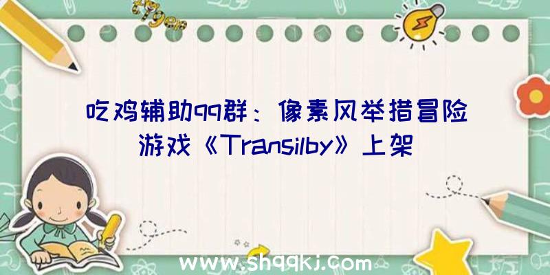 吃鸡辅助qq群：像素风举措冒险游戏《Transilby》上架steam支撑简中一同奔赴超次元年夜陆睁开查询拜访吧