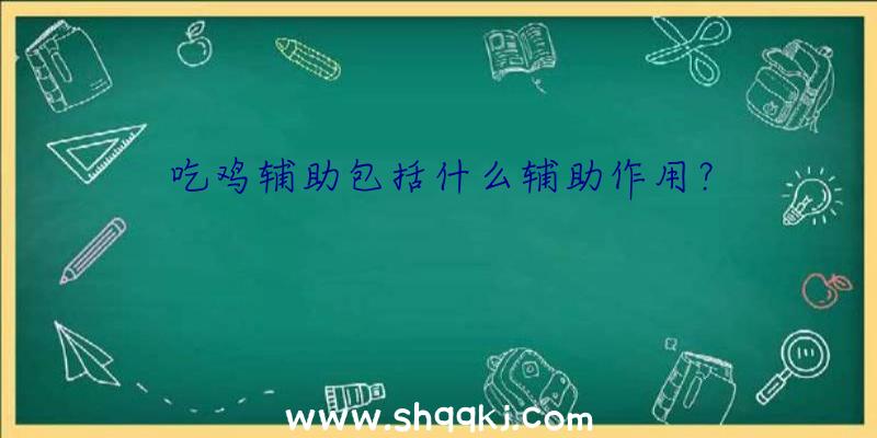 吃鸡辅助包括什么辅助作用？